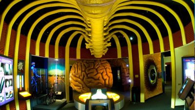 काठमाडौंमा नेपालको पहिलो चिकित्सा संग्रहालय बन्ने