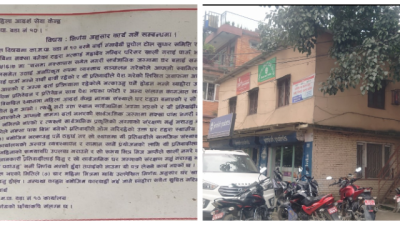 ‘अल्फाबिटा देख्ने बालेनको डोजरले महिला आदर्शको अनधिकृत संरचना देखेन’