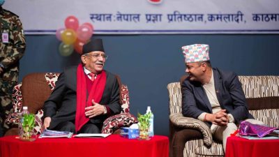 दश वर्षमा १ हजार मिर्गौला प्रत्याराेपण राष्ट्रिय रेकर्ड हाे :…